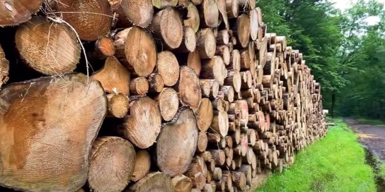 Юридична особа самостійно присвоює собі статус замовника та відповідає за прийняте рішення